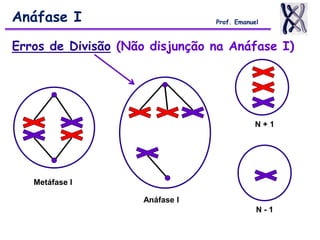 Anáfase I Prof. Emanuel
Erros de Divisão (Não disjunção na Anáfase I)
N + 1
N - 1
Metáfase I
Anáfase I
 