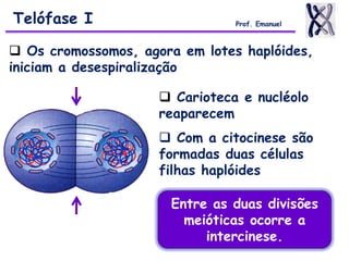  Carioteca e nucléolo
reaparecem
 Com a citocinese são
formadas duas células
filhas haplóides
Telófase I Prof. Emanuel
 Os cromossomos, agora em lotes haplóides,
iniciam a desespiralização
Entre as duas divisões
meióticas ocorre a
intercinese.
 