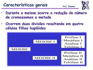 • Durante a meiose ocorre a redução do número
de cromossomos a metade
• Ocorrem duas divisões resultando em quatro
células filhas haplóides
Características gerais Prof. Emanuel
 