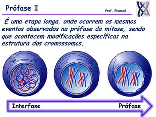 É uma etapa longa, onde ocorrem os mesmos
eventos observados na prófase da mitose, sendo
que acontecem modificações específicas na
estrutura dos cromossomos.
Prófase I Prof. Emanuel
Interfase Prófase
 