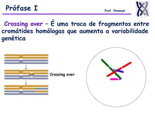 Crossing over – É uma troca de fragmentos entre
cromátides homólogas que aumenta a variabilidade
genética
Crossing over
Prófase I Prof. Emanuel
 