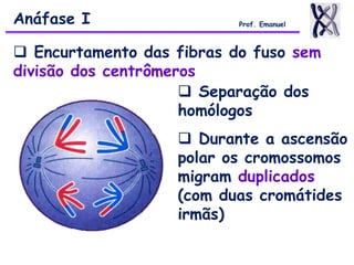  Encurtamento das fibras do fuso sem
divisão dos centrômeros
 Separação dos
homólogos
 Durante a ascensão
polar os cromossomos
migram duplicados
(com duas cromátides
irmãs)
Anáfase I Prof. Emanuel
 