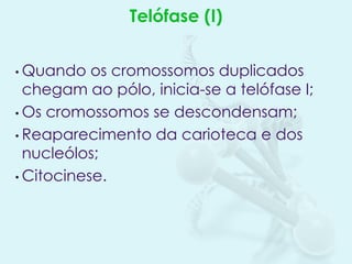 Telófase (I)
• Quando

os cromossomos duplicados
chegam ao pólo, inicia-se a telófase I;
• Os cromossomos se descondensam;
• Reaparecimento da carioteca e dos
nucleólos;
• Citocinese.

 