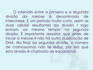O intervalo entre a primeira e a segunda
divisão da meiose é denominado de
intercinese. É um período muito curto, assim as
duas células resultantes da divisão I logo
entram, ao mesmo tempo, na segunda
divisão. É importante ressaltar que antes de
iniciar a meiose II não há outra duplicação de
DNA. No final da segunda divisão, o número
de cromossomos não se reduz, por isso que
esta divisão é chamada de equacional.

 
