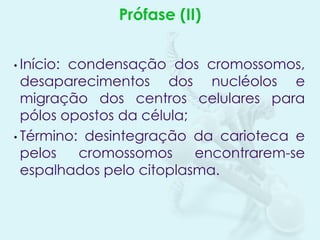 Prófase (II)
• Início:

condensação dos cromossomos,
desaparecimentos dos nucléolos e
migração dos centros celulares para
pólos opostos da célula;
• Término: desintegração da carioteca e
pelos
cromossomos
encontrarem-se
espalhados pelo citoplasma.

 