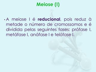 Meiose (I)
•A

meiose I é reducional, pois reduz à
metade o número de cromossomos e é
dividida pelas seguintes fases: prófase I,
metáfase I, anáfase I e telófase I.

 