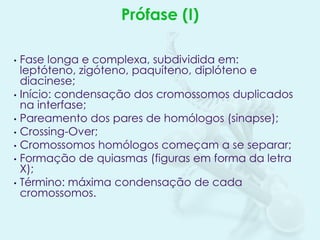 Prófase (I)
•

•
•
•
•
•
•

Fase longa e complexa, subdividida em:
leptóteno, zigóteno, paquíteno, diplóteno e
diacinese;
Início: condensação dos cromossomos duplicados
na interfase;
Pareamento dos pares de homólogos (sinapse);
Crossing-Over;
Cromossomos homólogos começam a se separar;
Formação de quiasmas (figuras em forma da letra
X);
Término: máxima condensação de cada
cromossomos.

 