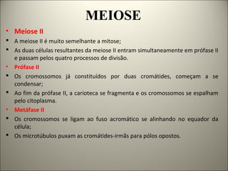 MEIOSE
• Meiose II
 A meiose II é muito semelhante a mitose;
 As duas células resultantes da meiose II entram simultaneamente em prófase II
e passam pelos quatro processos de divisão.
• Prófase II
 Os cromossomos já constituídos por duas cromátides, começam a se
condensar;
 Ao fim da prófase II, a carioteca se fragmenta e os cromossomos se espalham
pelo citoplasma.
• Metáfase II
 Os cromossomos se ligam ao fuso acromático se alinhando no equador da
célula;
 Os microtúbulos puxam as cromátides-irmãs para pólos opostos.
 