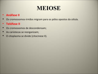 MEIOSE
• Anáfase II
 Os cromossomos-irmãos migram para os pólos opostos da célula.
• Telófase II
 Os cromossomos de descondensam;
 As cariotecas se reorganizam;
 O citoplasma se divide (citocinese II).
 
