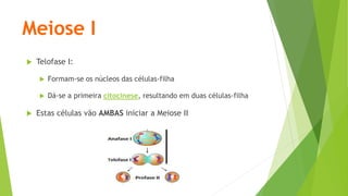 Meiose I
 Telofase I:
 Formam-se os núcleos das células-filha
 Dá-se a primeira citocinese, resultando em duas células-filha
 Estas células vão AMBAS iniciar a Meiose II
 