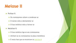 Meiose II
 Profase II:
 Os cromossomas voltam a condensar-se
 O núcleo volta a desmantelar-se
 O fuso meiótico volta a formar-se
 Metafase II:
 O fuso meiótico liga-se aos cromossomas
 Alinham-se os cromossomas na placa metafásica
 É nesta fase que se encontram os ovócitos II
 