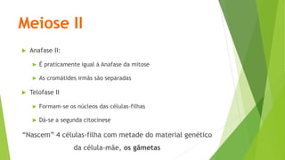 Meiose II
 Anafase II:
 É praticamente igual à Anafase da mitose
 As cromátides irmãs são separadas
 Telofase II
 Formam-se os núcleos das células-filhas
 Dá-se a segunda citocinese
“Nascem” 4 células-filha com metade do material genético
da célula-mãe, os gâmetas
 