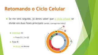 Retomando o Ciclo Celular
 Se me tens seguido, já deves saber que o ciclo celular se
divide em duas fases principais (senão, carrega nos links):
 Interfase (I)
 Fases G1, S e G2
 Fase M
 Mitose ou Meiose
 