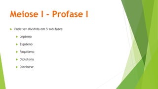 Meiose I - Profase I
 Pode ser dividida em 5 sub-fases:
 Lepteno
 Zigoteno
 Paquiteno
 Diploteno
 Diacinese
 