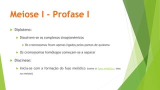 Meiose I - Profase I
 Diploteno:
 Dissolvem-se os complexos sinaptonémicos
 Os cromossomas ficam apenas ligados pelos pontos de quiasma
 Os cromossomas homólogos começam-se a separar
 Diacinese:
 Inicia-se com a formação do fuso meiótico (como o fuso mitótico, mas
na meiose)
 
