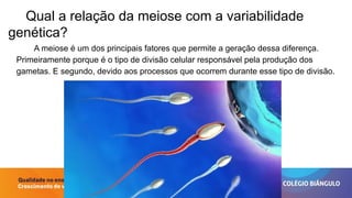 Entendendo a Meiose: Processo, Etapas e Variabilidade Genética | PPTX