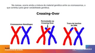 Entendendo a Meiose: Processo, Etapas e Variabilidade Genética | PPTX