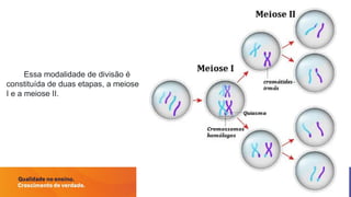 Entendendo a Meiose: Processo, Etapas e Variabilidade Genética | PPTX