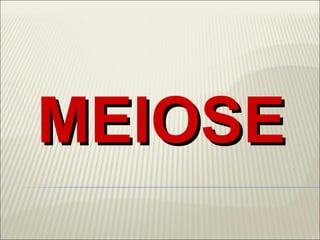 MEIOSE
 