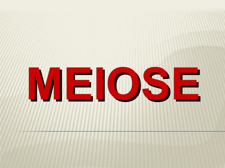 MEIOSE 