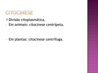 Divisão citoplasmática. Em animais: citocinese centrípeta. Em plantas: citocinese centrífuga. 