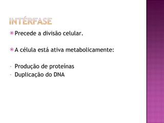 Precede a divisão celular. A célula está ativa metabolicamente: Produção de proteínas Duplicação do DNA 