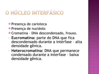 Presença de carioteca Presença de nucléolo Cromatina – DNA descondensado, frouxo. Eucromatina:  parte do DNA que fica descondensado durante a intérfase – alta densidade gênica. Heterocromatina:  DNA que permanece condensado durante a interfase – baixa densidade gênica. 