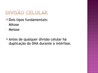 Dois tipos fundamentais: Mitose Meiose Antes de qualquer divisão celular há duplicação do DNA durante a intérfase. 