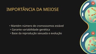 IMPORTÂNCIA DA MEIOSE
• Mantém número de cromossomos estável
• Garante variabilidade genética
• Base da reprodução sexuada e evolução
 