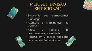 MEIOSE I (DIVISÃO
REDUCIONAL)
• Separação dos cromossomos
homólogos
• Acontece o crossing-over na
Prófase I
• Reduz o número de
cromossomos pela metade
• Resulta em 2 células haploides
com cromátides duplicadas
 
