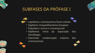 SUBFASES DA PRÓFASE I
• Leptóteno: cromossomos ficam visíveis
• Zigóteno: emparelhamento (sinapse)
• Paquíteno: ocorre o crossing-over
• Diplóteno: início da separação dos
homólogos
• Diacinese: condensação máxima dos
cromossomos
 
