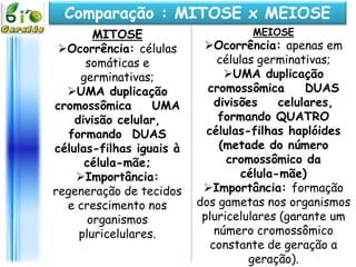 Comparação : MITOSE x MEIOSE
        MITOSE                     MEIOSE
 Ocorrência: células      Ocorrência: apenas em
      somáticas e             células germinativas;
     germinativas;              UMA duplicação
  UMA duplicação           cromossômica       DUAS
cromossômica       UMA        divisões    celulares,
    divisão celular,           formando QUATRO
   formando DUAS            células-filhas haplóides
células-filhas iguais à        (metade do número
      célula-mãe;               cromossômico da
    Importância:                  célula-mãe)
regeneração de tecidos     Importância: formação
  e crescimento nos       dos gametas nos organismos
       organismos          pluricelulares (garante um
     pluricelulares.          número cromossômico
                             constante de geração a
                                     geração).
 