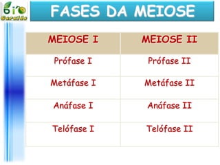 FASES DA MEIOSE
MEIOSE I     MEIOSE II

Prófase I     Prófase II

Metáfase I   Metáfase II

Anáfase I    Anáfase II

Telófase I   Telófase II
 