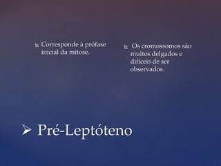  Pré-Leptóteno
 Corresponde à prófase
inicial da mitose.
 Os cromossomos são
muitos delgados e
difíceis de ser
observados.
 