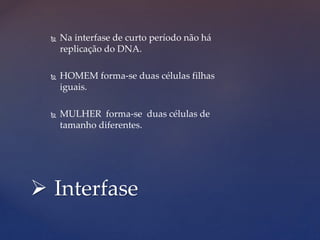  Interfase
 Na interfase de curto período não há
replicação do DNA.
 HOMEM forma-se duas células filhas
iguais.
 MULHER forma-se duas células de
tamanho diferentes.
 