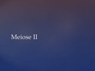 Meiose II
 
