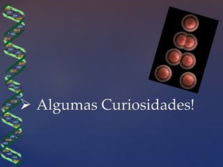  Algumas Curiosidades!
 