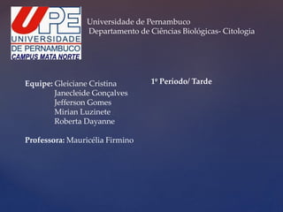 Universidade de Pernambuco
Departamento de Ciências Biológicas- Citologia
Equipe: Gleiciane Cristina
Janecleide Gonçalves
Jefferson Gomes
Mirian Luzinete
Roberta Dayanne
Professora: Mauricélia Firmino
1º Período/ Tarde
 