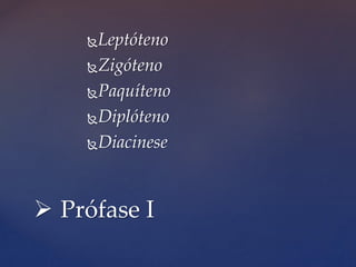 Leptóteno
Zigóteno
Paquíteno
Diplóteno
Diacinese
 Prófase I
 