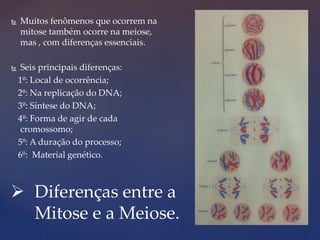 Meiose: o que é e quais são as suas fases - Brasil Escola