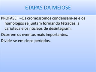 ETAPAS DA MEIOSE 
PROFASE I –Os cromossomos condensam-se e os 
homólogos se juntam formando tétrades, a 
carioteca e os núcleos de desintegram. 
Ocorrem os eventos mais importantes. 
Divide-se em cinco períodos. 
 