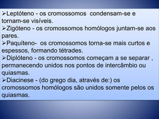 Leptóteno - os cromossomos condensam-se e 
tornam-se visíveis. 
Zigóteno - os cromossomos homólogos juntam-se aos 
pares. 
Paquíteno- os cromossomos torna-se mais curtos e 
espessos, formando tétrades. 
Diplóteno - os cromossomos começam a se separar , 
permanecendo unidos nos pontos de intercâmbio ou 
quiasmas. 
Diacinese - (do grego dia, através de:) os 
cromossomos homólogos são unidos somente pelos os 
quiasmas. 
 