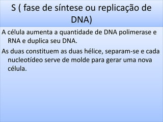 S ( fase de síntese ou replicação de 
DNA) 
A célula aumenta a quantidade de DNA polimerase e 
RNA e duplica seu DNA. 
As duas constituem as duas hélice, separam-se e cada 
nucleotídeo serve de molde para gerar uma nova 
célula. 
 