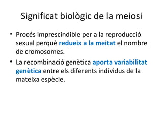 Significat biològic de la meiosi
• Procés imprescindible per a la reproducció
  sexual perquè redueix a la meitat el nombre
  de cromosomes.
• La recombinació genètica aporta variabilitat
  genètica entre els diferents individus de la
  mateixa espècie.
 