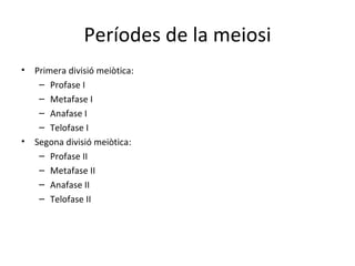 Períodes de la meiosi
•   Primera divisió meiòtica:
     – Profase I
     – Metafase I
     – Anafase I
     – Telofase I
•   Segona divisió meiòtica:
     – Profase II
     – Metafase II
     – Anafase II
     – Telofase II
 