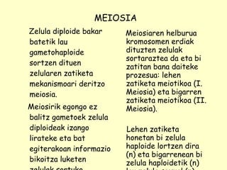 Meiosiaren helburua kromosomen erdiak dituzten zelulak sortaraztea da eta bi zatitan bana daiteke prozesua: lehen zatiketa meiotikoa (I. Meiosia) eta bigarren zatiketa meiotikoa (II. Meiosia).  Lehen zatiketa honetan bi zelula haploide lortzen dira (n) eta bigarrenean bi zelula haploidetik (n) lau zelula sexual (n). MEIOSIA Zelula diploide bakar batetik lau gametohaploide sortzen dituen zelularen zatiketa mekanismoari deritzo meiosia. Meiosirik egongo ez balitz gametoek zelula diploideak izango lirateke eta bat egiterakoan informazio bikoitza luketen zelulak sortuko lituzkete.  