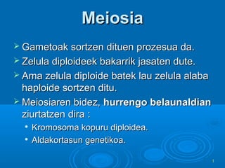 Meiosia
 Gametoak sortzen dituen prozesua da.
 Zelula diploideek bakarrik jasaten dute.
 Ama zelula diploide batek lau zelula alaba

haploide sortzen ditu.
 Meiosiaren bidez, hurrengo belaunaldian
ziurtatzen dira :



Kromosoma kopuru diploidea.
Aldakortasun genetikoa.
1

 