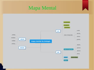 Mapa Mental