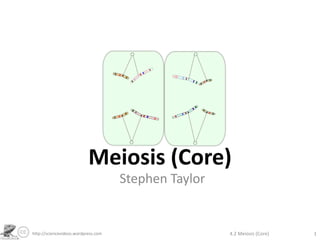Meiosis (Core),[object Object],Stephen Taylor,[object Object],4.2 Meiosis (Core),[object Object],1,[object Object],http://sciencevideos.wordpress.com,[object Object]