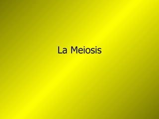 La Meiosis 